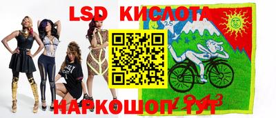 гидра Тверь