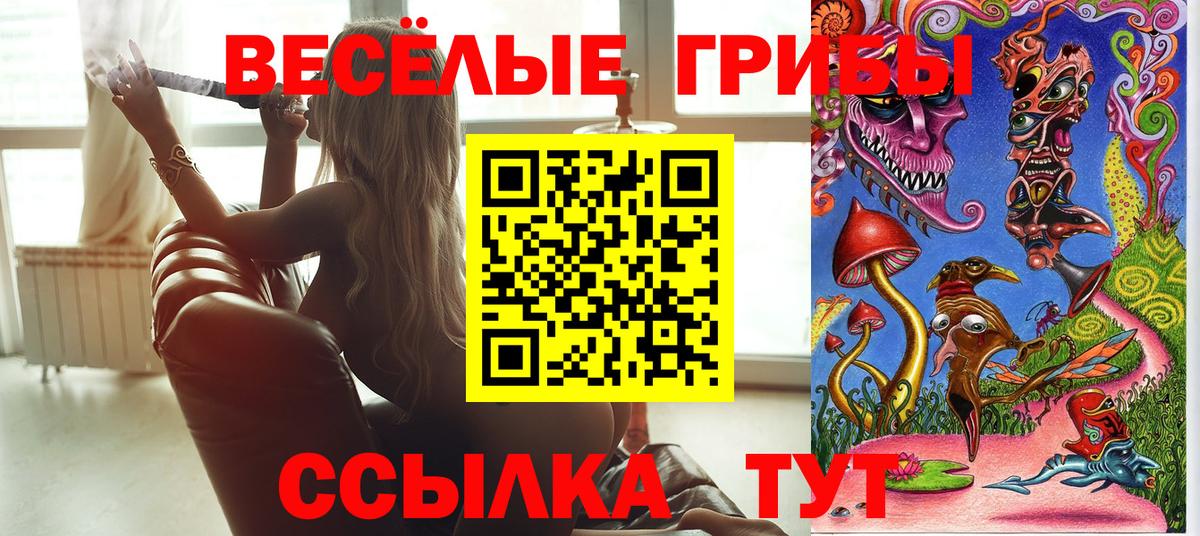 Новотроицк  Галлюциногенные грибы мухоморы  Вход с VPN 