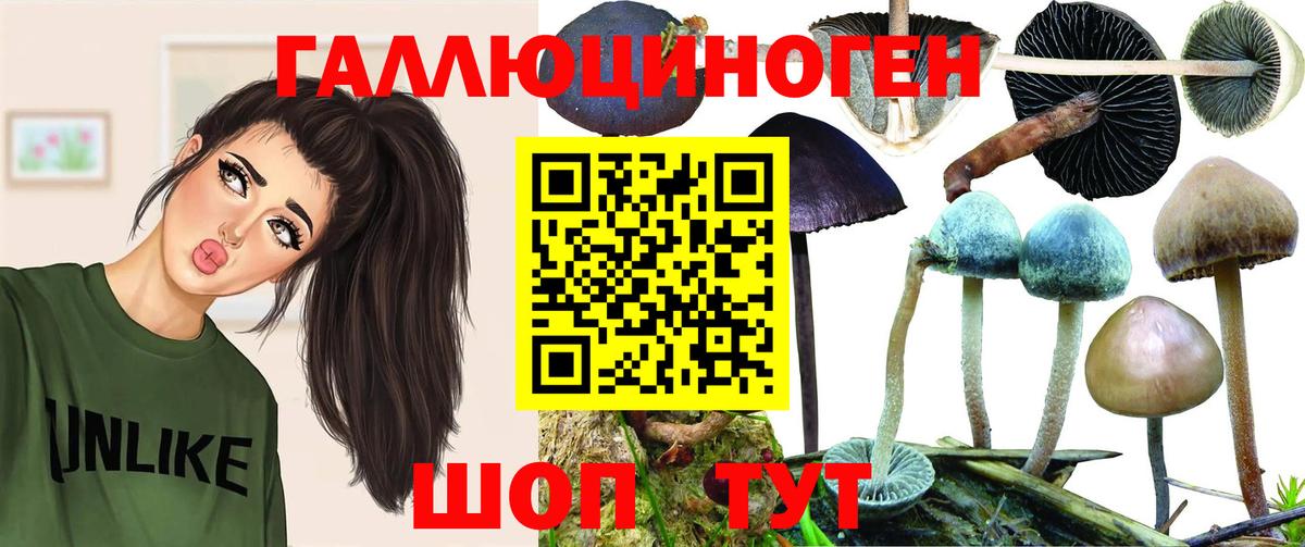 Галлюциногенные грибы Cubensis Новотроицк